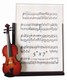 Music Instrument Picture Frame - Violin